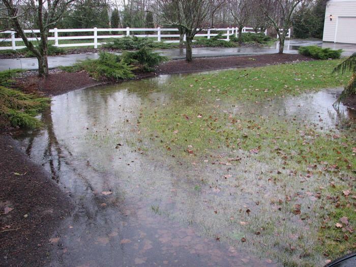 Good Yard Drainage Can Prevent a Wet Basement in Chicago