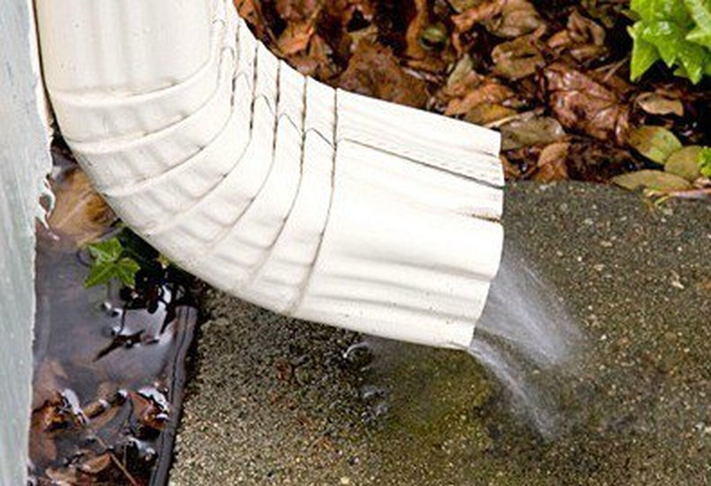 Cropped Downspout