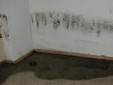 Why Does my Basement Leak Between the Wall and Floor?