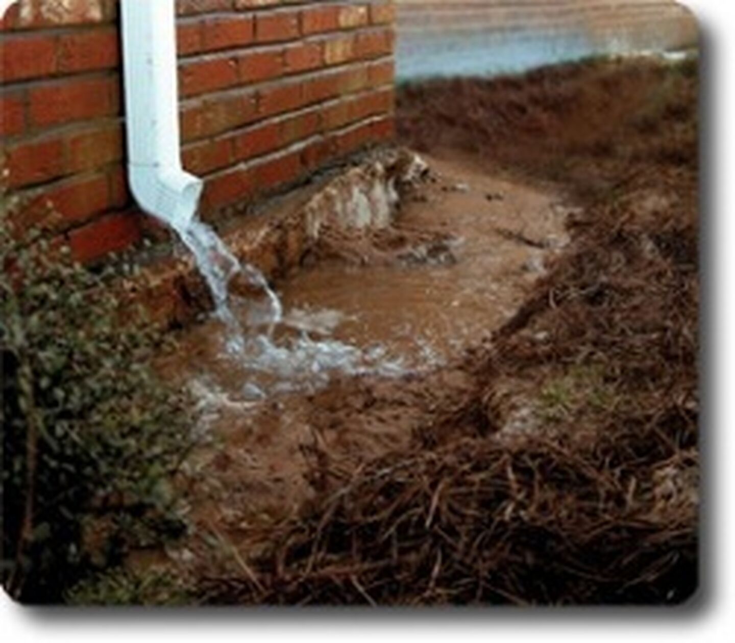 Downspout Drainage Problems2 250 219