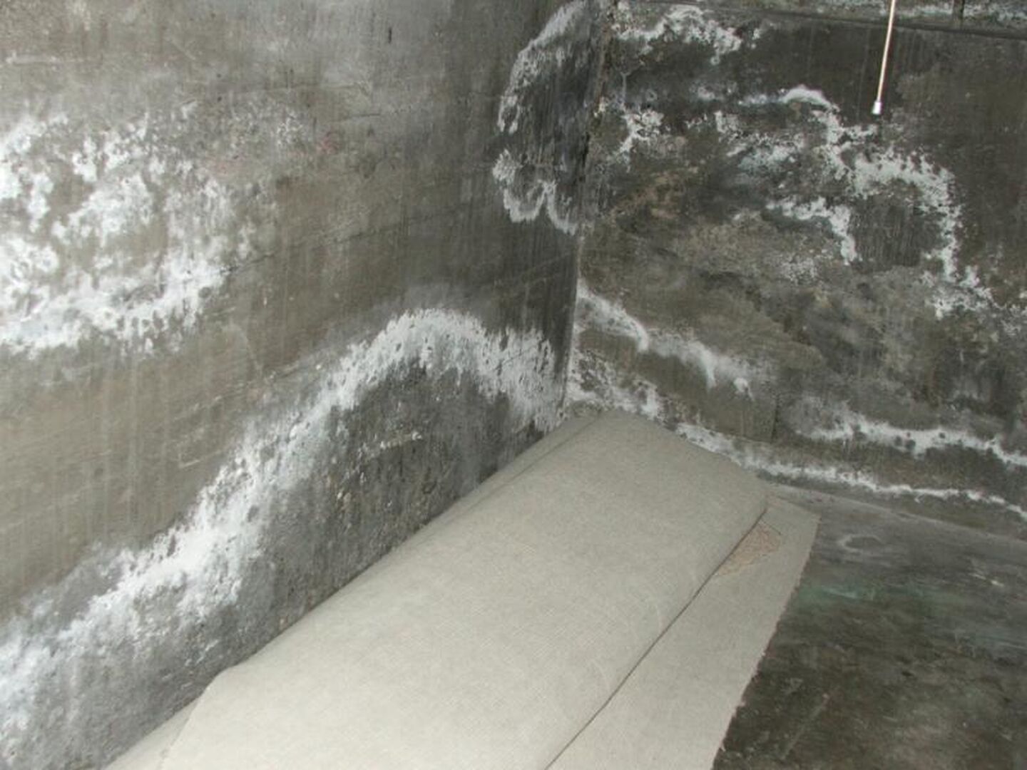 How to Prevent Damp Basements in Chicago This Spring