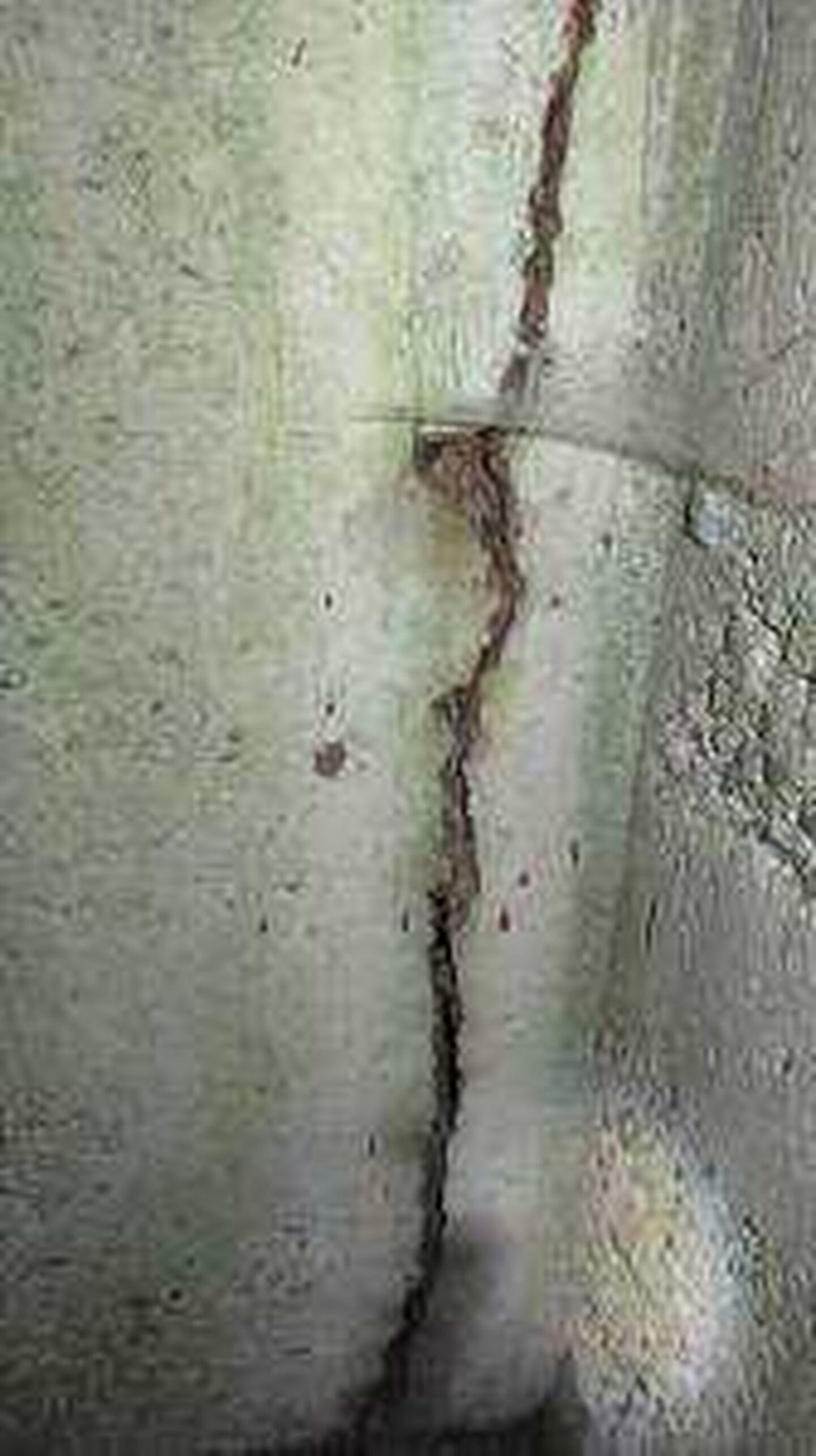Basement Waterproofing Problems: DIY Foundation Crack Repair